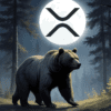 XRP, niedźwiedź spacerujący po lesie nocą