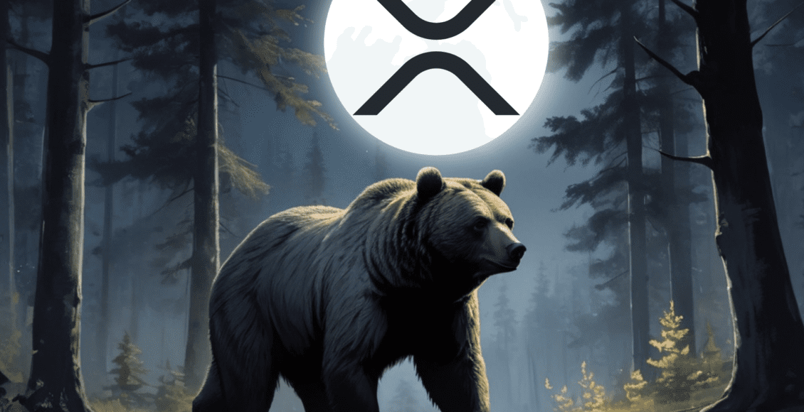 XRP, niedźwiedź spacerujący po lesie nocą