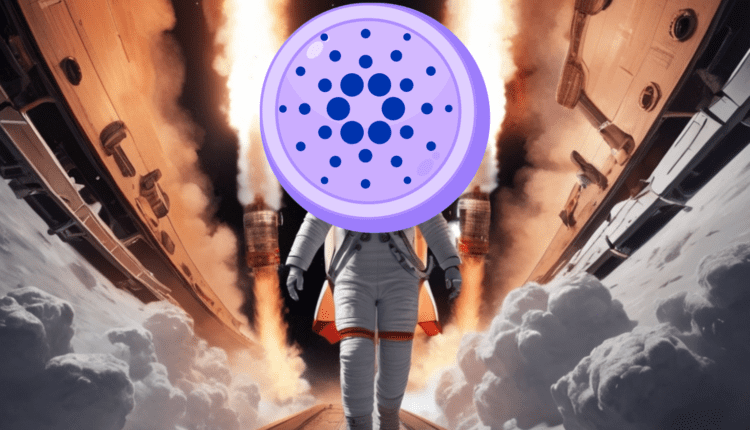 Cardano zbiera siły przed startem na kolejne szczyty? Prognozy na 2024 wyglądają intrygująco