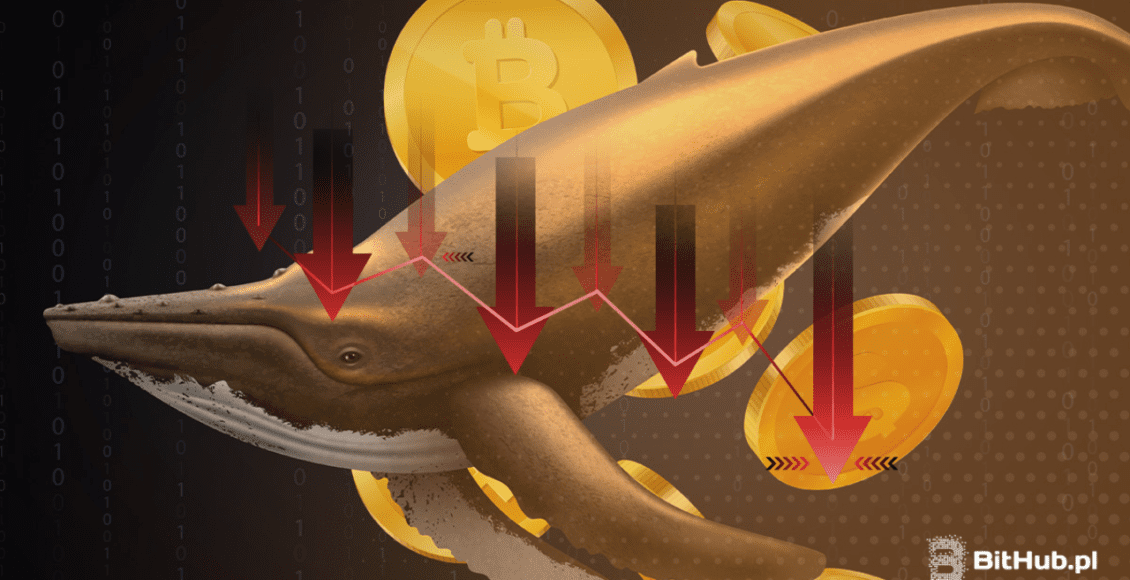 Wieloryb pływający w Bitcoinach. Grafika ma żółty blask. Na środku są strzałki czerwone sugerujące spadki.