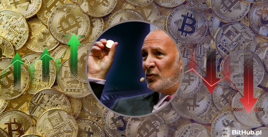 Peter Schiff na tle monet bitcoin, z jednej strony strzałki zielone wzrostowe a po drugiej stronie strzałki czerwone spadkowe.
