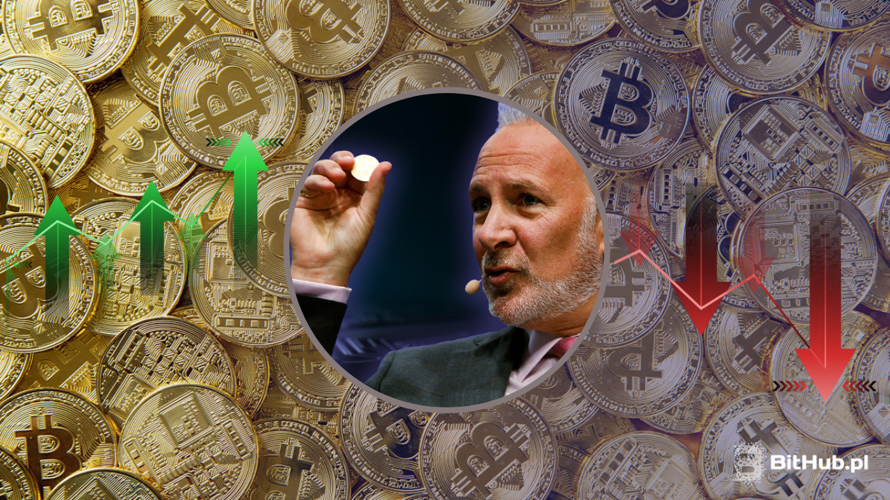 Peter Schiff na tle monet bitcoin, z jednej strony strzałki zielone wzrostowe a po drugiej stronie strzałki czerwone spadkowe.