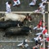 Byki rozganiają gapiów na ulicy, podczas hiszpańskiej Corridy