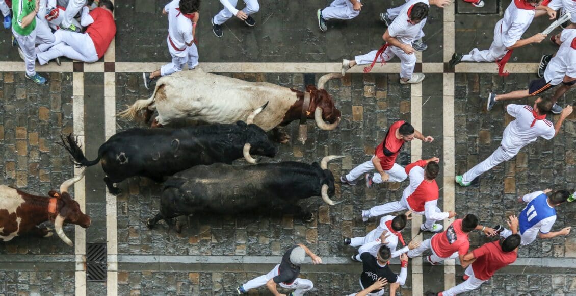 Byki rozganiają gapiów na ulicy, podczas hiszpańskiej Corridy