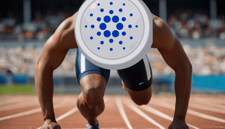 Cardano w blokach startowych. Szykuje się wzrost? Te sygnały budzą nadzieję