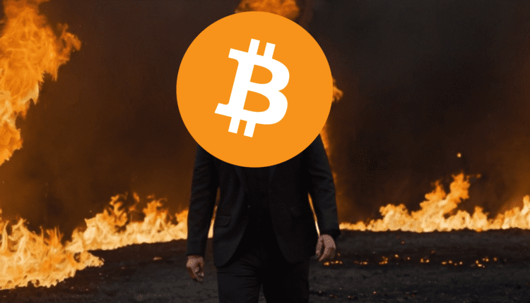 Bitcoin odradza się i wraca na właściwe tory? Eksperci wskazują na kilka czynników i przedstawiają prognozy