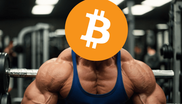 Bitcoin silny jak nigdy wcześniej. Co napędza króla kryptowalut i na jak długo starczy paliwa?