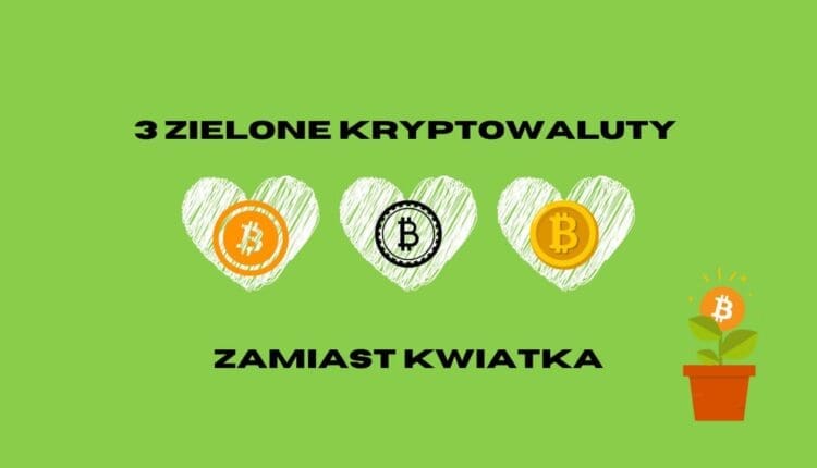 Zielone tło, Bitcoin, kwiatek w doniczce