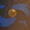 Wieloryby krążące wokół Bitcoina na tle wykresu