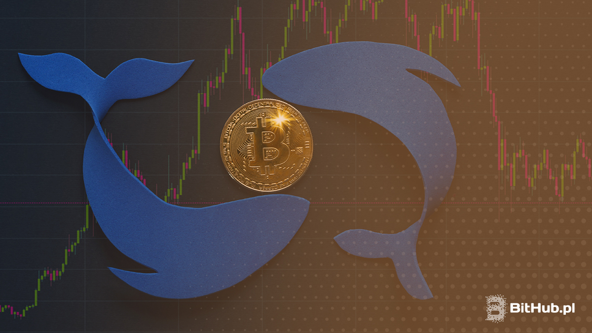 Wieloryby krążące wokół Bitcoina na tle wykresu