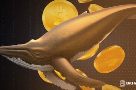 Uśpiony, bajecznie bogaty wieloryb przebudził się po latach! Cena Bitcoina spadnie jeszcze bardziej?