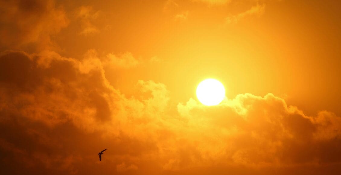 Słońce w chmurach i lecący ptak
