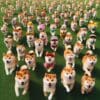 Shiba Inu