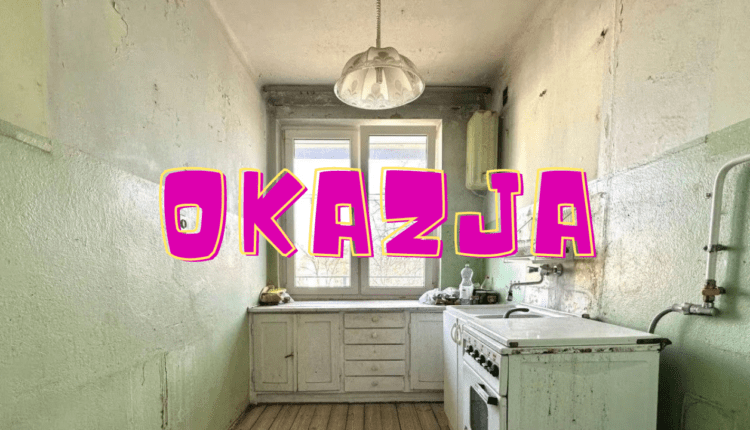 34 metry, grzyb, karaluchy, szczury i zalane ściany za jedyne 700 tys. PLN. Czy to omen bańki na rynku nieruchomości?