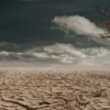Drought of Bitcoin