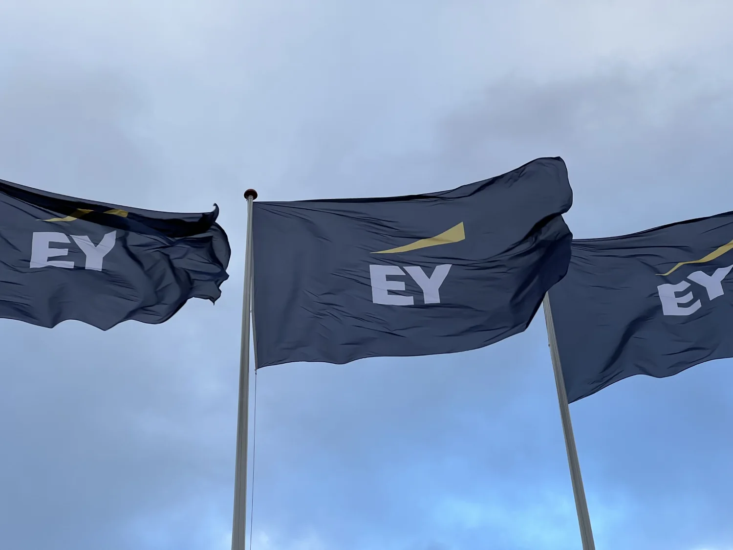 flagi firmy ey powiewające na wietrze na tle nieba