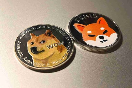 Memecoiny hamują rozwój i adopcję kryptowalut. Ekspert słusznie obwinia je za całe zło?