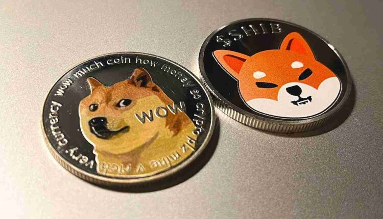 Memecoiny hamują rozwój i adopcję kryptowalut. Ekspert słusznie obwinia je za całe zło?