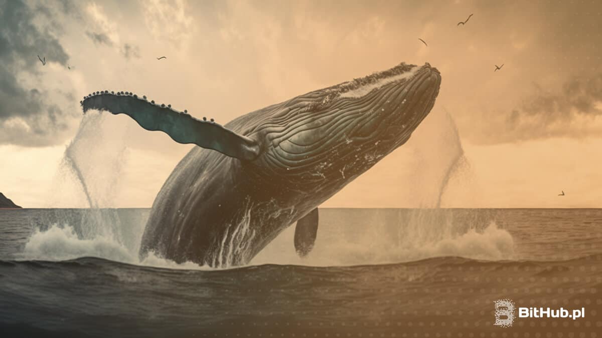 Wieloryb symbolizujący dużych inwestorów BTC wynurza się z tafli oceanu