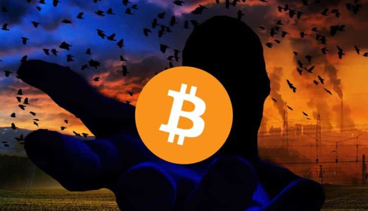 Analitycy wskazują kiedy możemy spodziewać się ożywienia cen Bitcoina