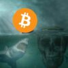 Bitcoin na łodzi. Pod wodą rekin zmierzający w stronę BTC. W tle czaszka.
