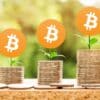 Bitcoin jako roślina wyrastająca na monetach.