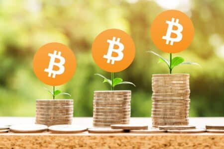 Bitcoin podwoi swoją wartość do końca roku? „Nadal jest na wczesnym etapie wzrostu”