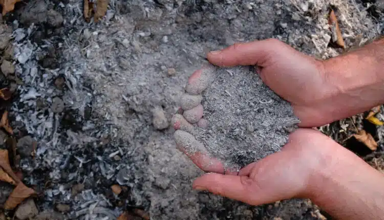 Kruszce z prochów zmarłych. W pewnym kraju do obrotu trafią metale pozyskane z pozostałości po kremacji