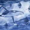 Wieloryb, logo Ethereum.