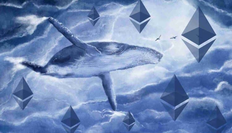 Wieloryb, logo Ethereum.