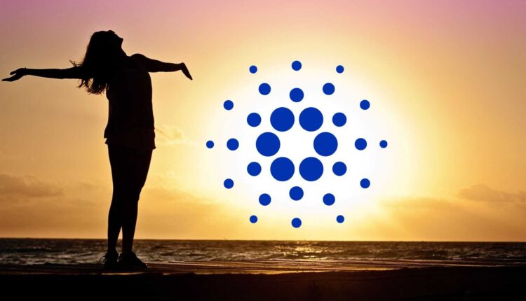 Cardano przebudzi się w maju? Kilka rzeczy wygląda obiecująco