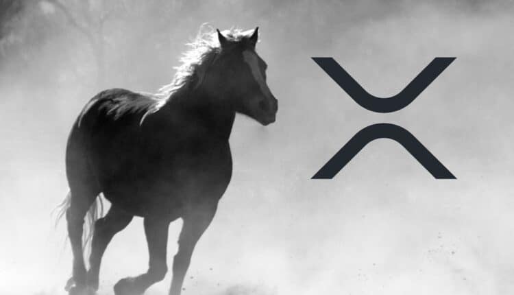Ripple (XRP) notuje ogromny wzrost kilku wskaźników. Optymistyczne prognozy na maj się spełnią?