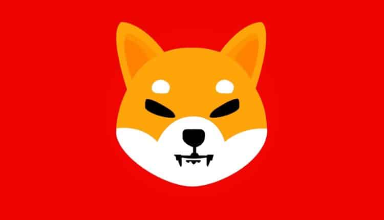 Shiba Inu może wzrosnąć nawet o ponad 700 proc.! Tak twierdzi ekspert
