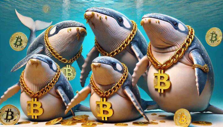 Znamy największe wieloryby Bitcoin. Najbogatszy posiada ponad 300 000 BTC!