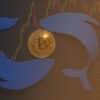 Wieloryby krążące wokół Bitcoina na tle spadającego wykresu