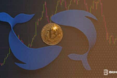 Bitcoin krwawi, kryptowaluty stoją przed klifem? Wieloryby podejmują decyzję, której rynek nie widział od lat