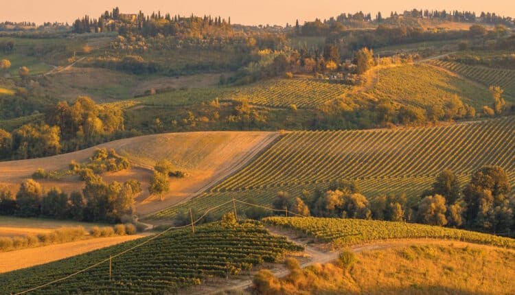 To dziś jedna z najszybciej rozwijających się branż w Polsce. Jakie są jej dalsze perspektywy?