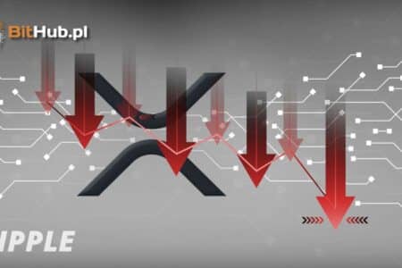 Chris Larsen z Ripple przekazał 1 mln USD politykowi. „Pochrzaniło go”. XRP spadnie „do zera”?
