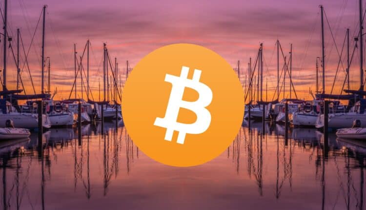 Bitcoin jako bezpieczna przystań. Miliarder wskazuje kontrowersyjny warunek