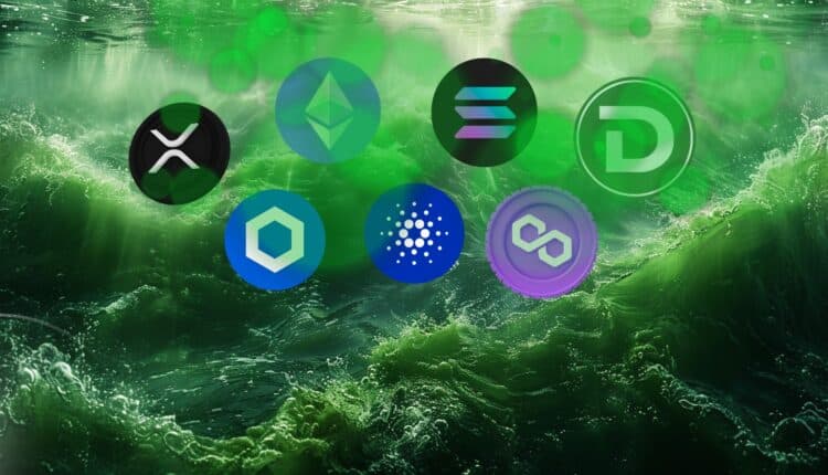 Masywny krach spycha wartości kryptowalut do poziomów z 2023 r., Analityk wymienia najlepsze altcoiny na rajd w lipcu