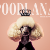 Poodlana