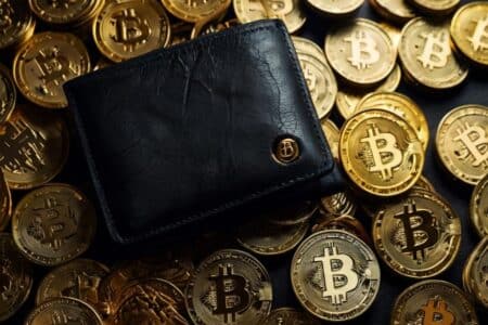 Kolejny rząd może pozbyć się Bitcoinów. Ma ich więcej, niż mieli Niemcy. Panika wisi w powietrzu