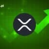 xrp ripple