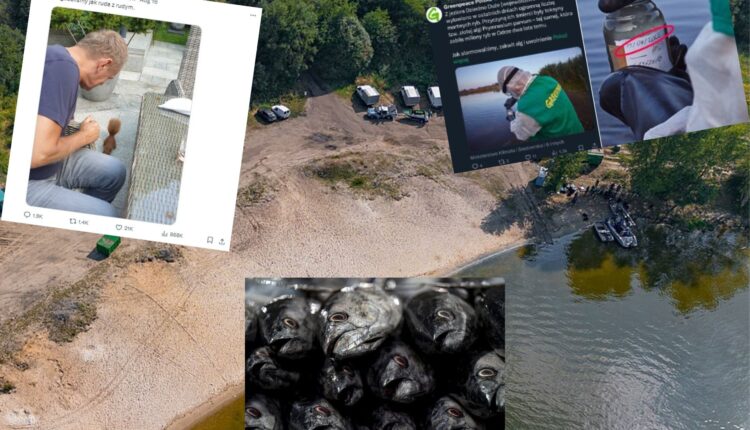 Dzierżno Duże przeżywa katastrofę ekologiczną. „Gdzie są ci wszyscy krzyczący ekolodzy?”. Premier milczy