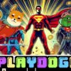 PlayDoge