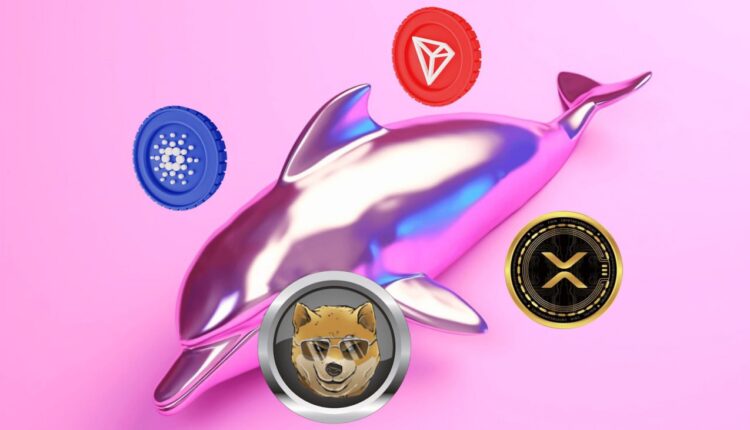 Ta ultrabudżetowa alternatywa dla WIF ma szansę na 9000% wzrost w 2026 r.