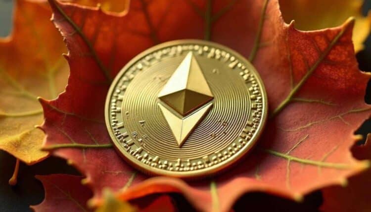Moneta Ethereum pośród jesiennych liści.