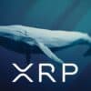 Wieloryb XRP.