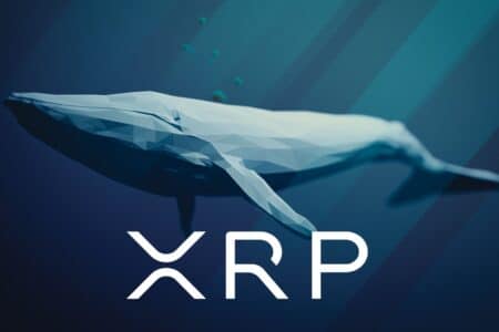 Tajemniczy wieloryb nabył 20 mln XRP. Token zyskał 11%. Coś się szykuje?