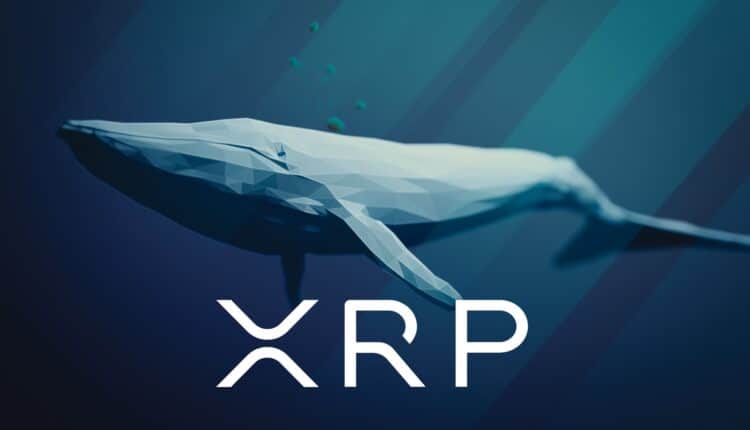 Tajemniczy wieloryb nabył 20 mln XRP. Token zyskał 11%. Coś się szykuje?